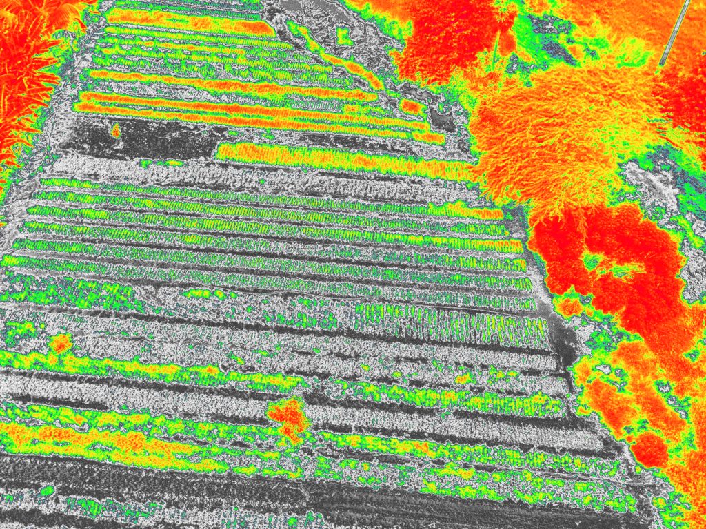 Agricultura de presición