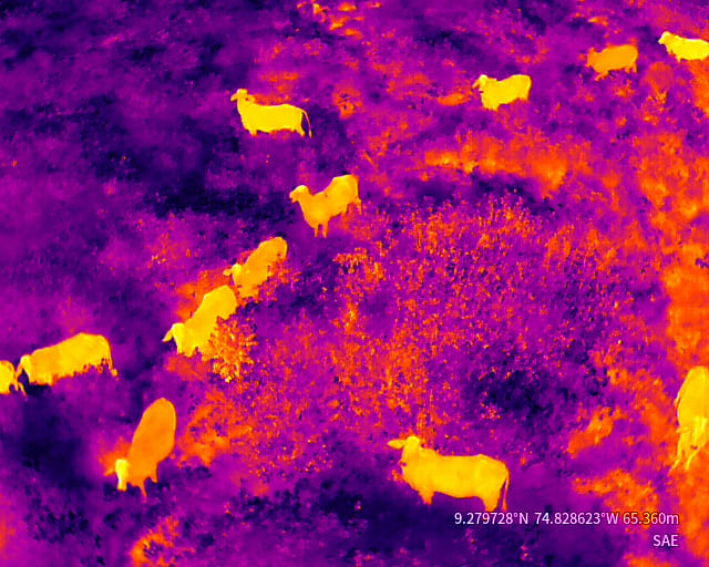 Imagen de referencia Agricultura de precisión